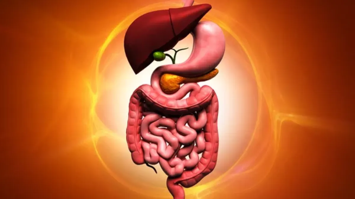 List of best gastroliver doctors in Rajshahi.